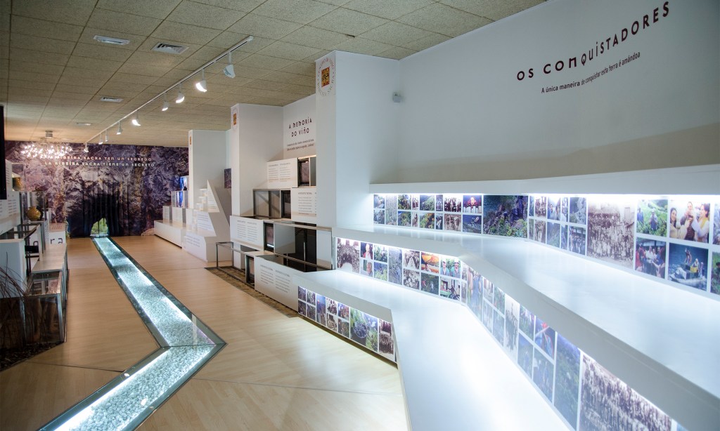 Diseño de exposición interactiva e inmersiva